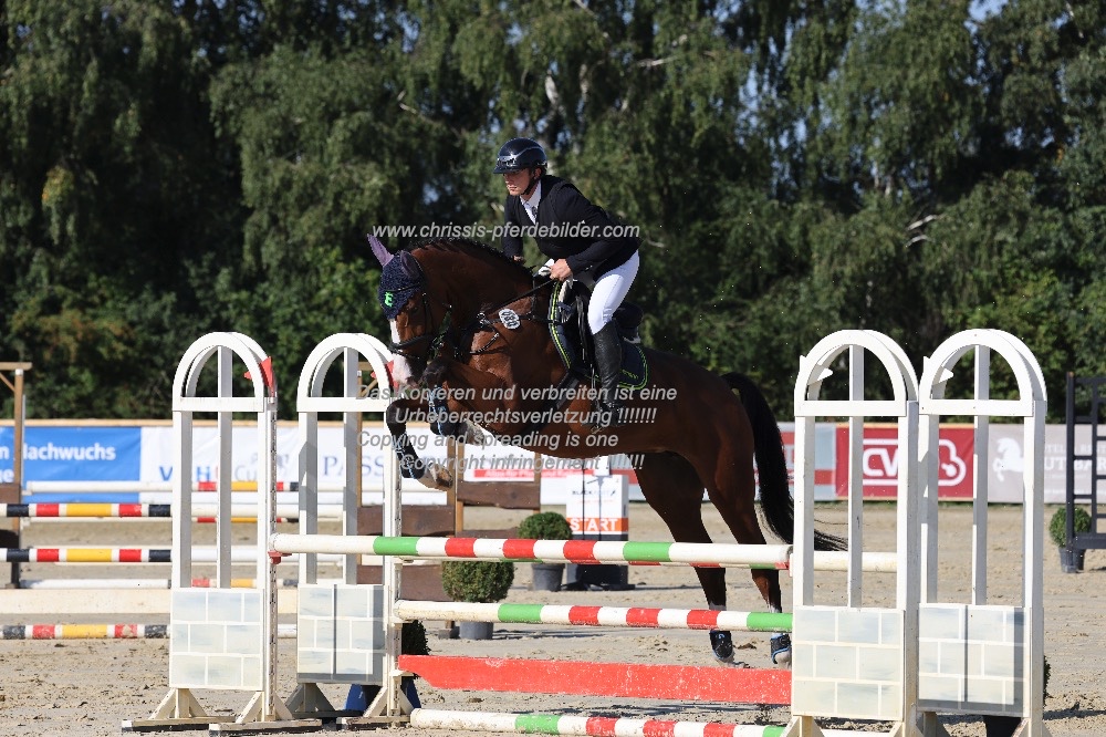 Preview lukas wappler mit calistos lady IMG_0211.jpg